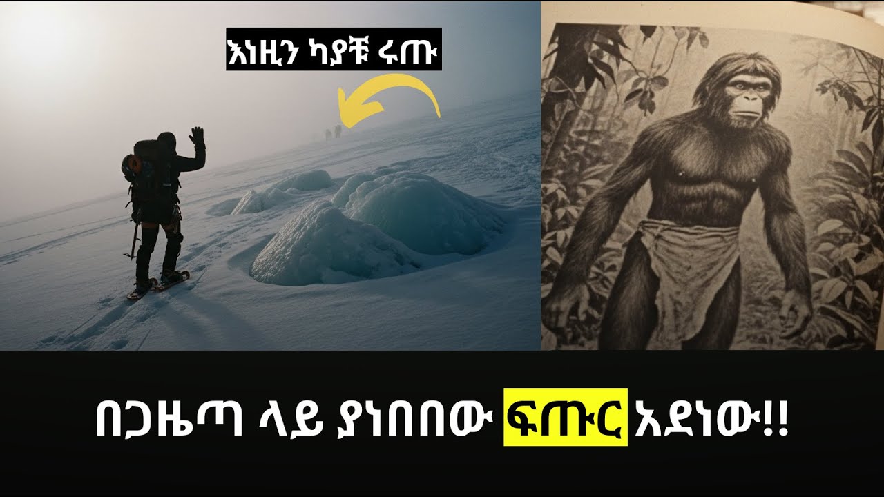 ጫካ ዉስጥ ሲሄዱ የጠፉ ሰዎች | feta squad