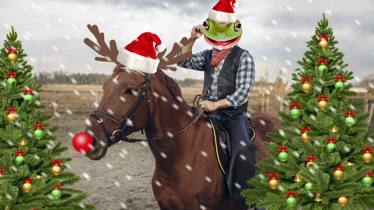 ESPECIAL NAVIDEÑO CASI 20 MINUTOS DE DOSEKAI SIENDO DOSEKAI