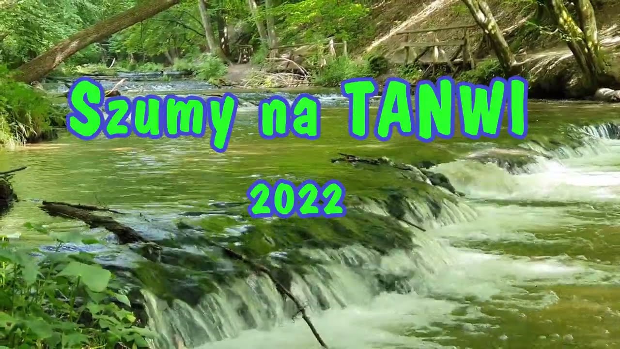 szumy na Tanwi 2022