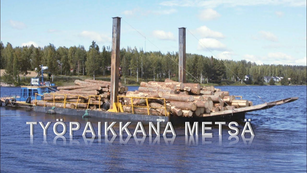 Työpaikkana metsä.