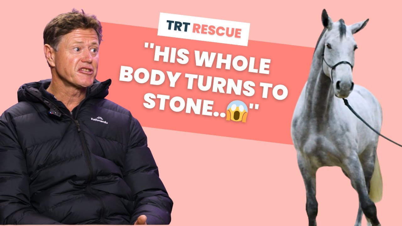 The horse that BLOCKS at the jump 🚫 - TRT Rescue S1E5