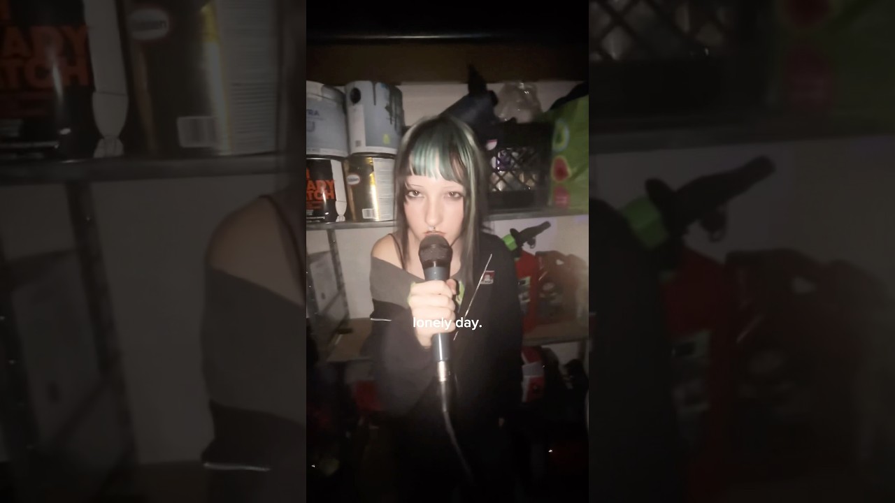 Lonely Day cover!! #guitar #cover #systemofadown #band