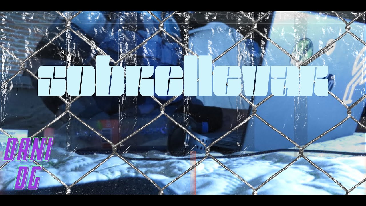SOBRELLEVAR (VISUALIZER) Dani dg