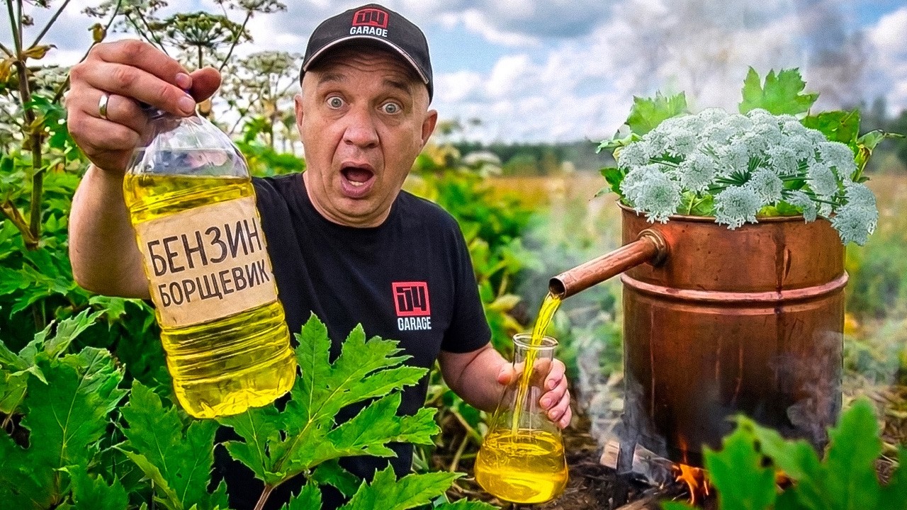 ГОНИМ БЕНЗИН ИЗ ТРАВЫ - НЕФТЬ больше не нужна