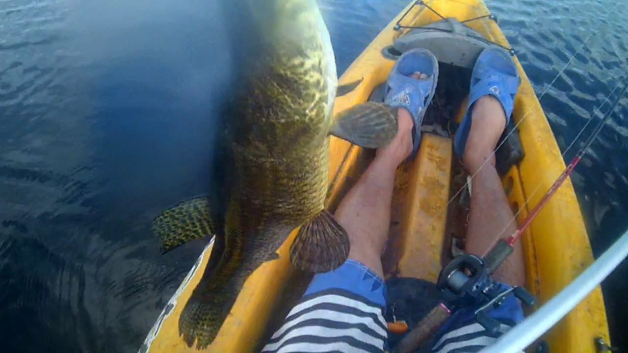 25pesca-pesca de tarariras en laguna las mulitas 25 de mayo