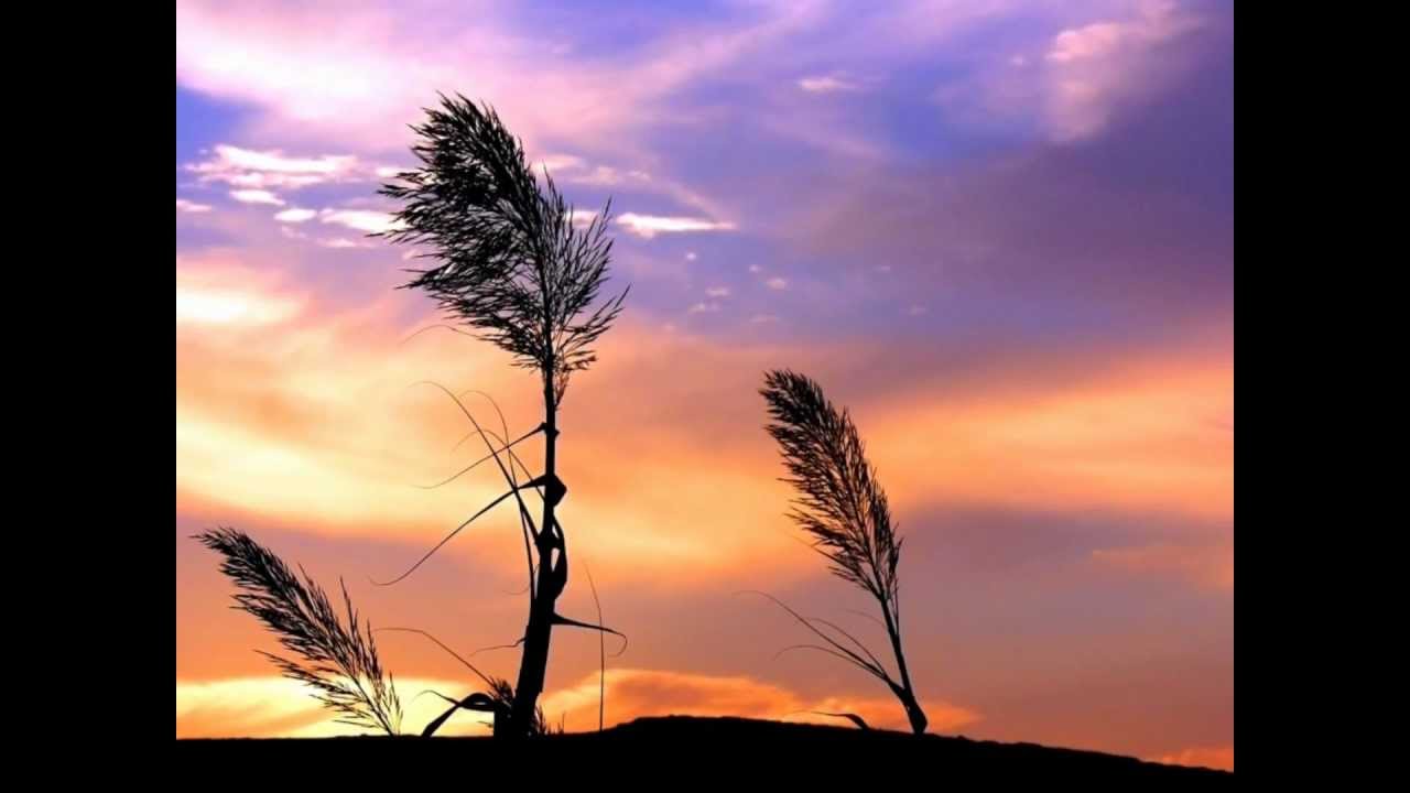Jesus Culture Walk with me Subtitulos en Español