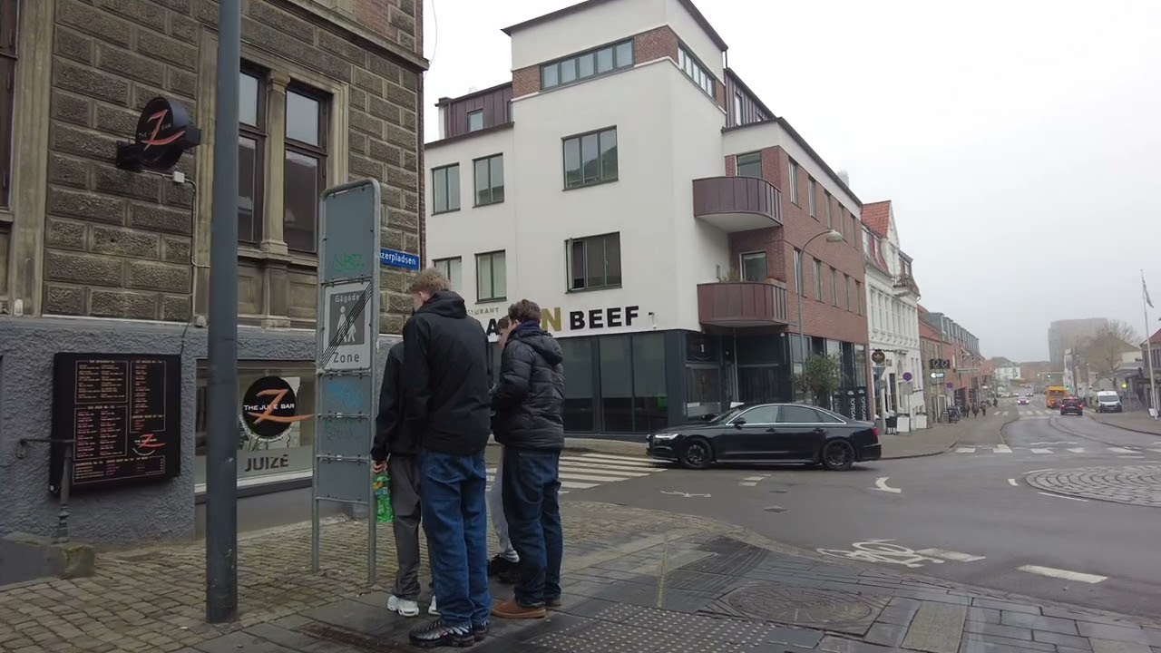 4K City mini walk-in Slagelse Denmark 🇩🇰  #copenhagenwalk #travel