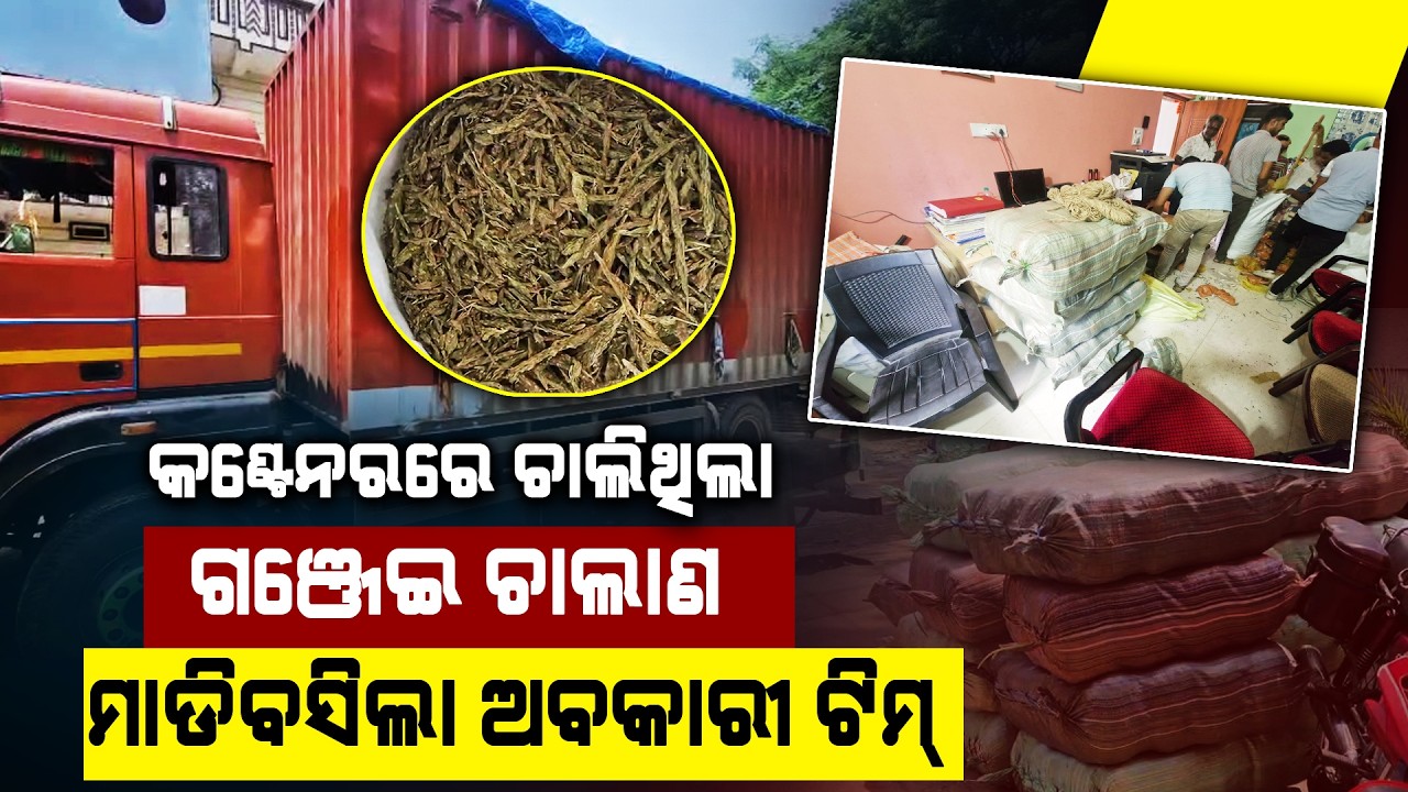 କଣ୍ଟେନରରେ ଚାଲିଥିଲା ଗଞ୍ଜେଇ ଚାଲାଣ.....ମାଡିବସିଲା ଅବକାରୀ ଟିମ୍