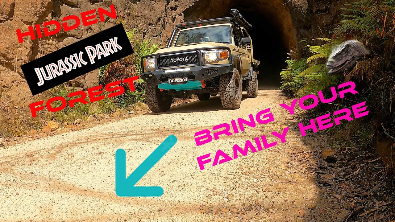 Must see location  | Lithgow Glow Worm Tunnel | Family Weekend Spot