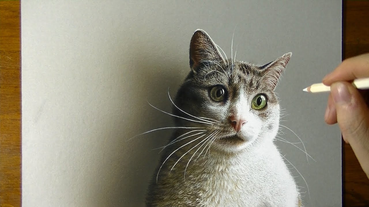 3D Drawing, Didì the Cat Portrait
