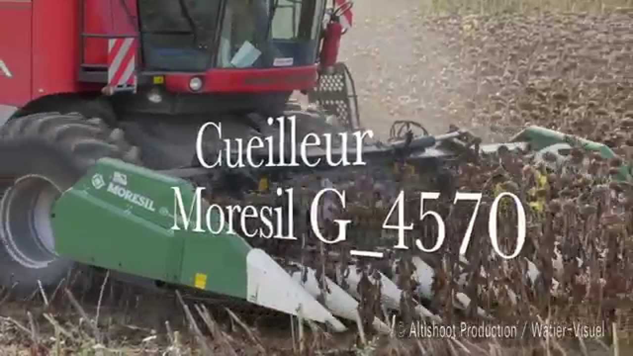 Récolte tournesol Massey Ferguson 9895  cueilleur Moresil G 4570