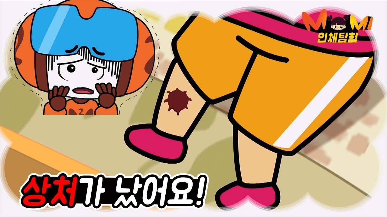 상처가 났어요!🩹 | 모미의 인체탐험 | 과학 이야기