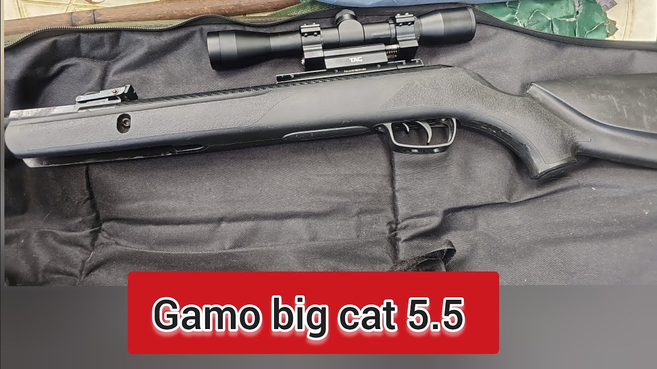 Gamo big cat, Carabina de entrada da gamo!!