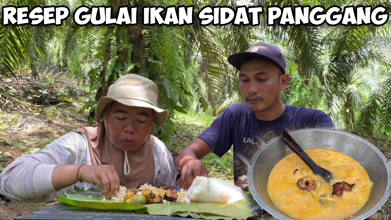 Masak & Makan Hasil Berburu Ikan Sidat Di Kebun, Kegiatan Sebelum Petualangan @jemodusuntv