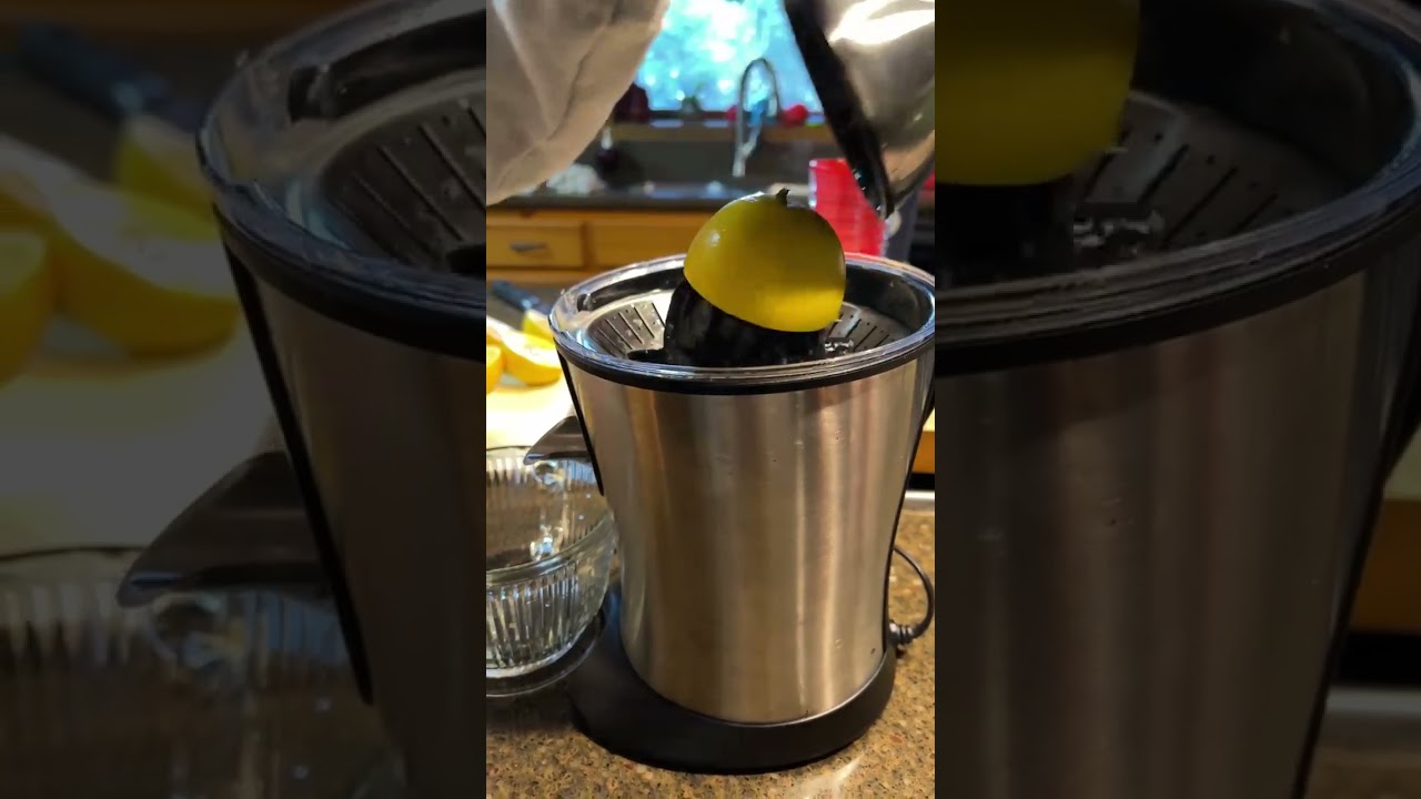 Trying Out The Eurolux ELCJ-1600 Electric Citrus Juicer