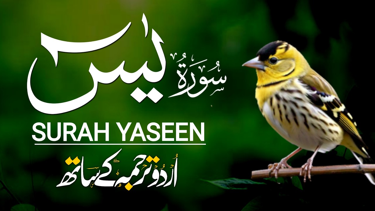 Surah Yasin سورة يس | Urdu Translation | Beautiful Healing Recitation for Mind & Inner Calm