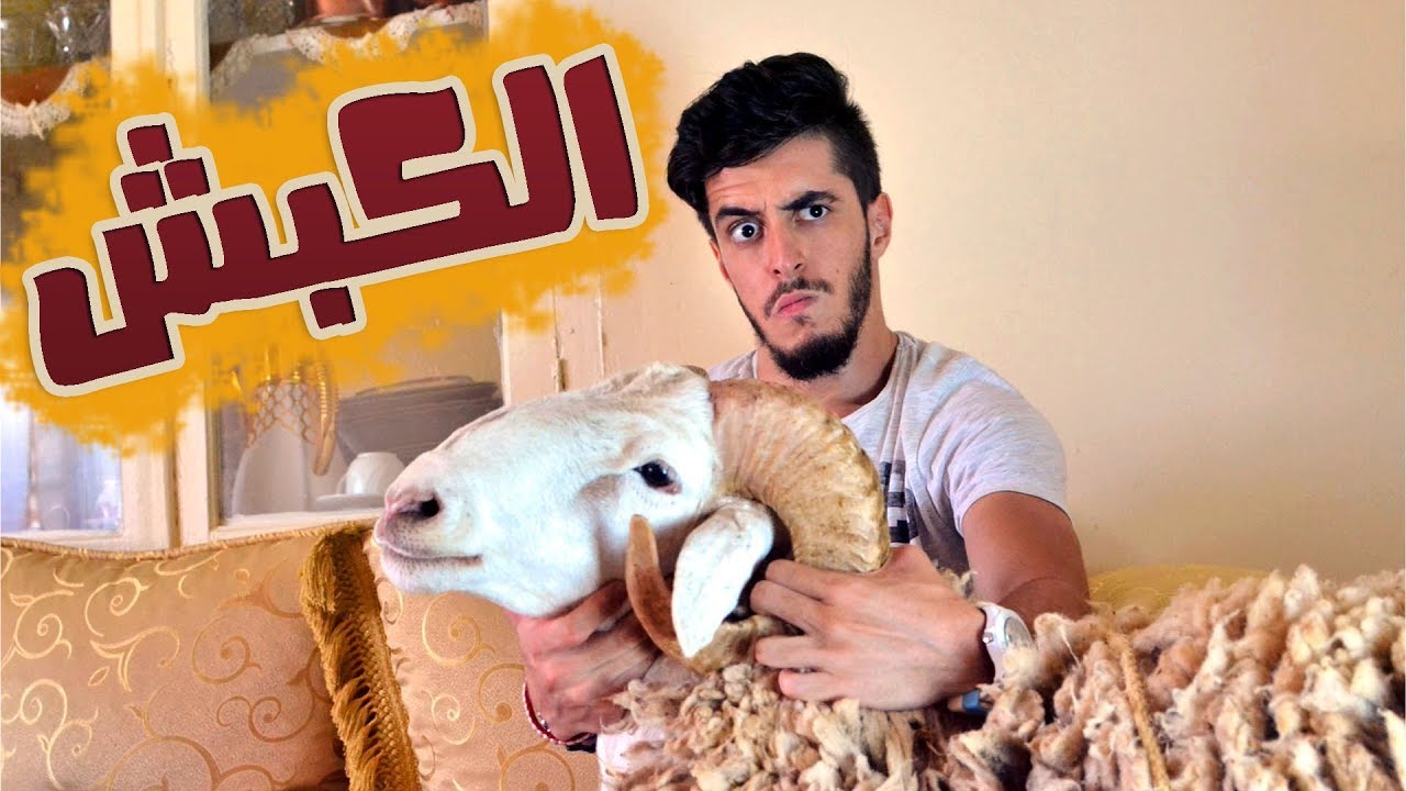 Mr SaLiMDZ I Le Mouton - الكبش I سليم و سليمان