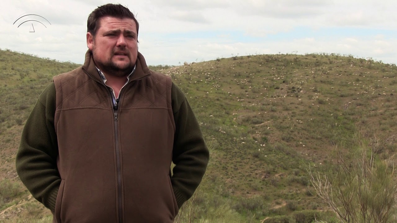Ovino, El viso. Ganadería ecológica [2018]