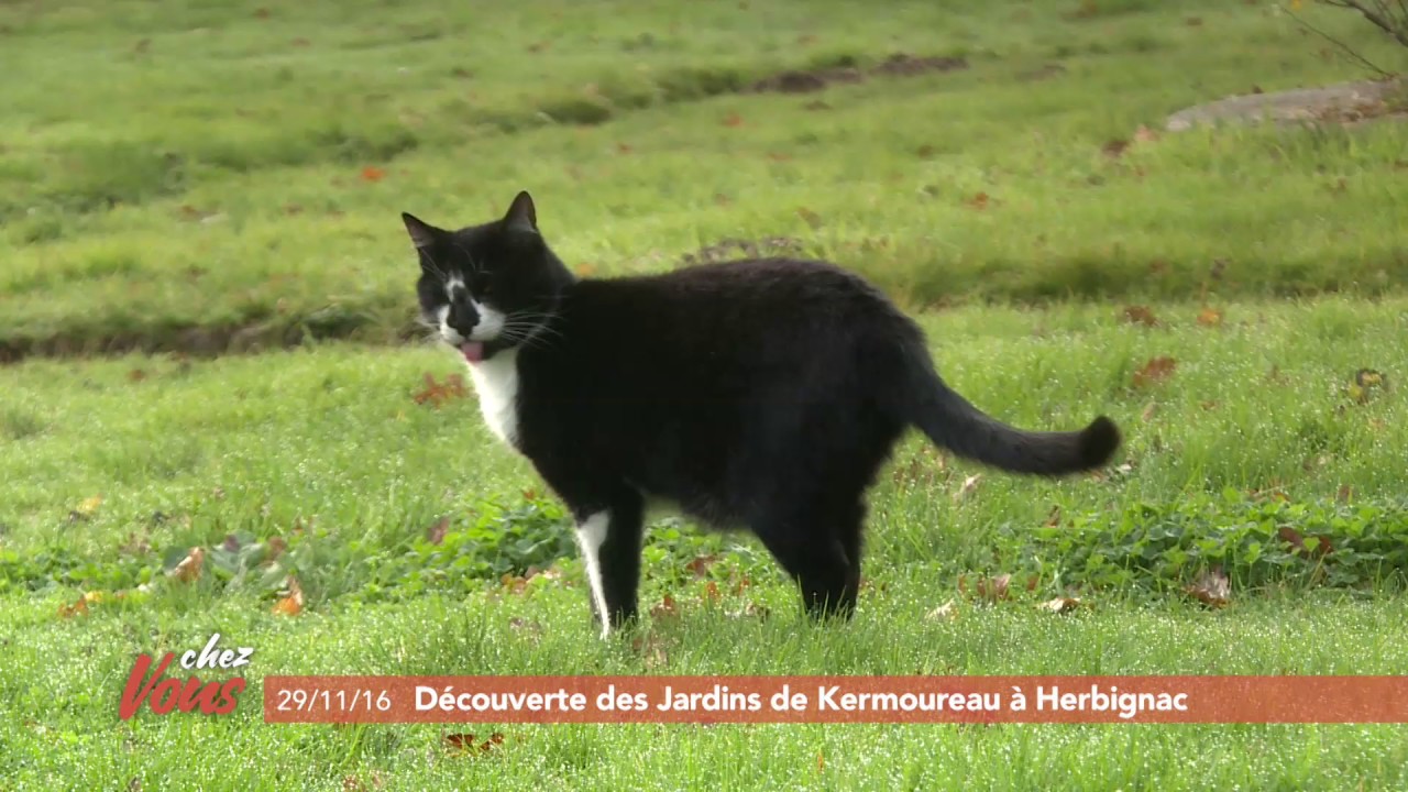Chez vous &agrave; Herbignac #2