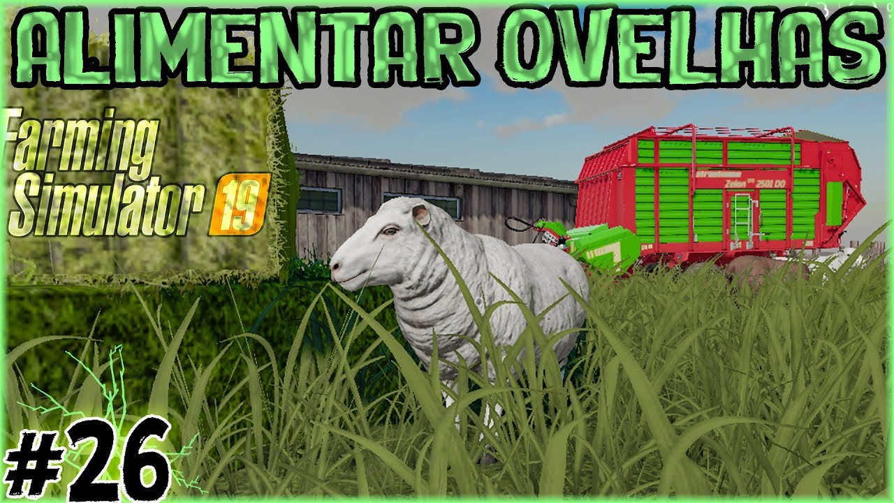 26 - Alimentar Ovelhas - Produtividade 100% - Farming Simulator 19