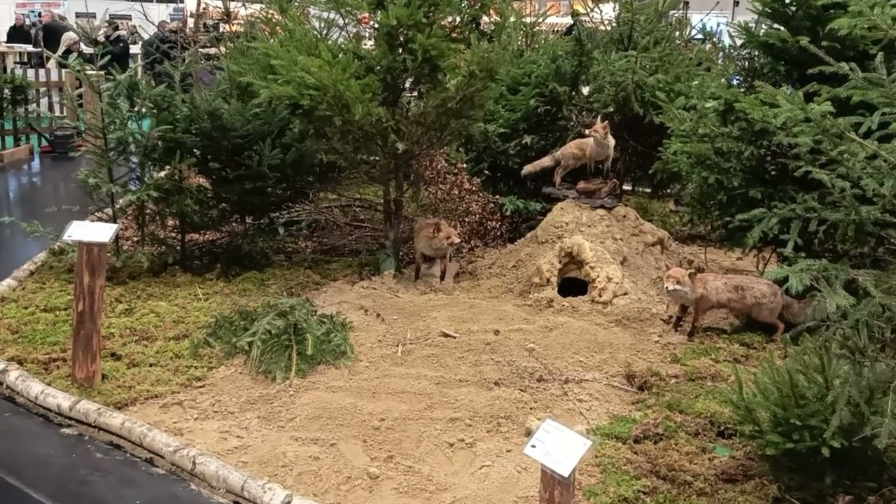 ,,Wild,Wald,Wissen " -- Jagen und Fischen / Messe Augsburg  2026