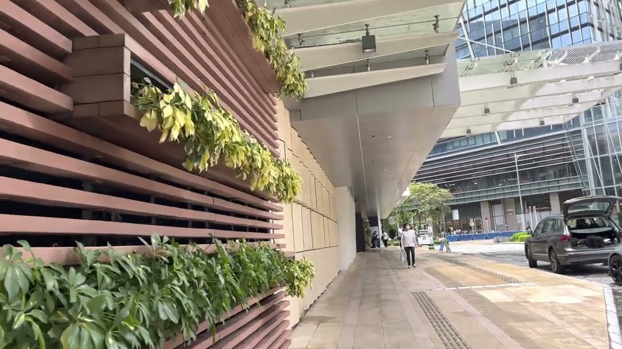Pak Shek Kok Landing -  A 🔥 landing
