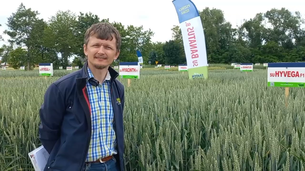Saaten Union poleca nowe odmiany zbóż