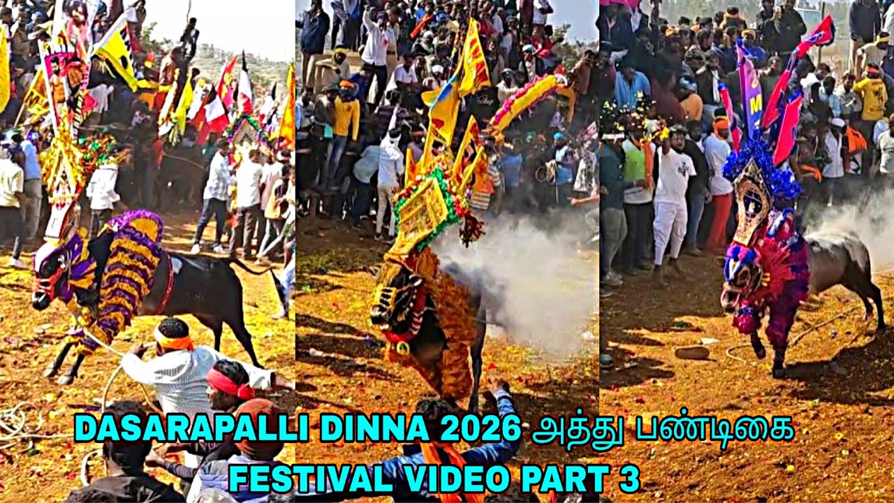 DASARAPALLI DINNA 2026 அத்து பண்டிகை FESTIVAL VIDEO PART 3 @bulletrani8271 