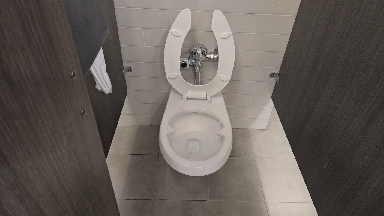 [440] Zurn Omni-Flow Urinals and EcoVantage Toilets in Belk