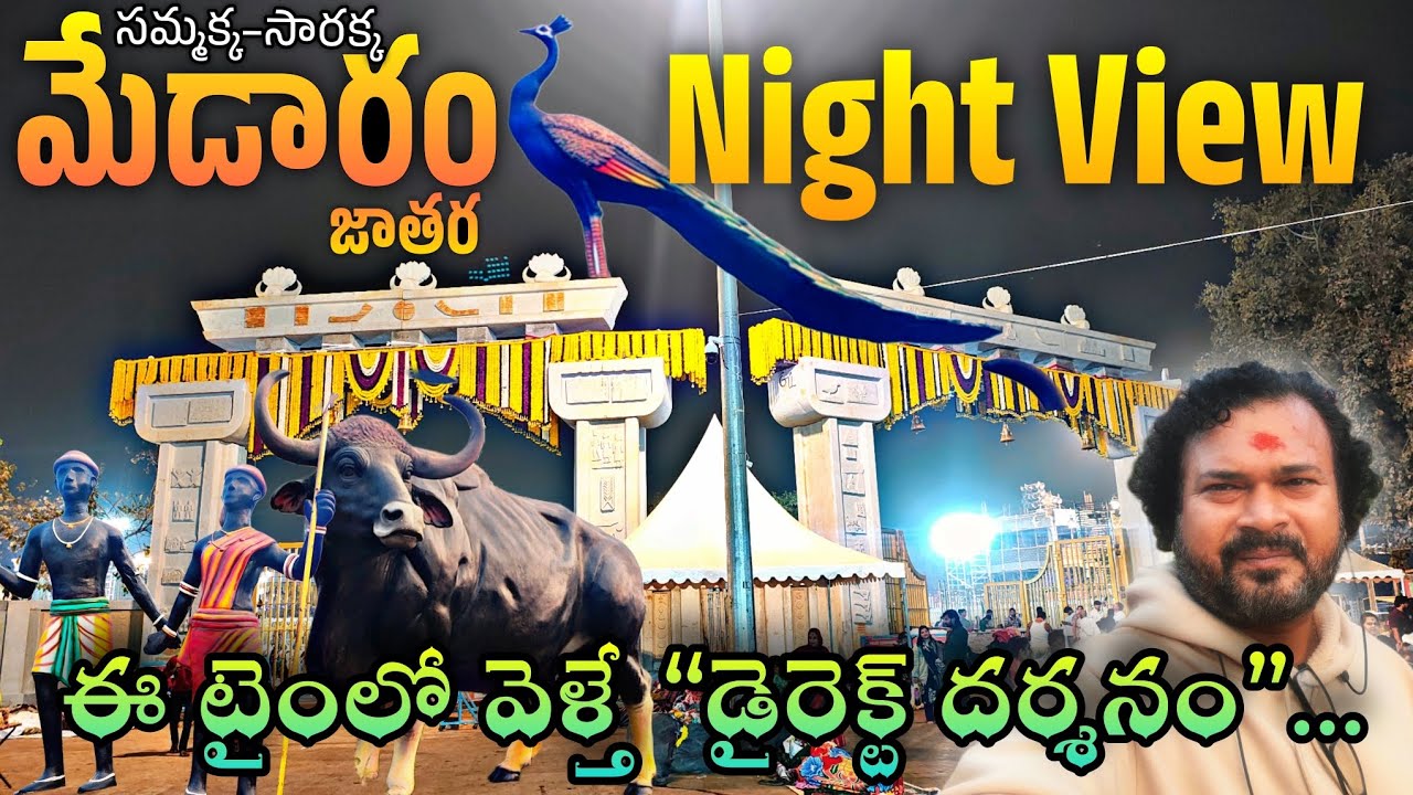 Medaram Jathara Night View | Direct Darshan timings #Medaram #sammakkasarakka #Akinfotains 