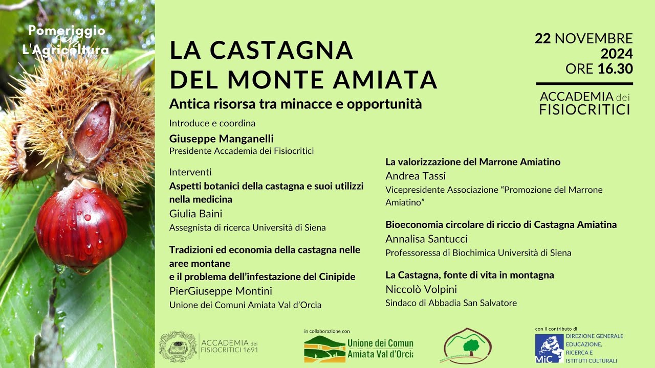 La Castagna del Monte Amiata: antica risorsa tra minacce e opportunità