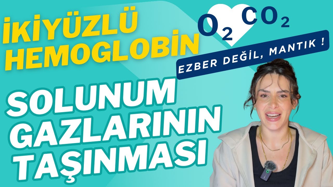 Solunum Gazları Ve İkiyüzlü Hemoglobin #yks #ayt #biyoloji