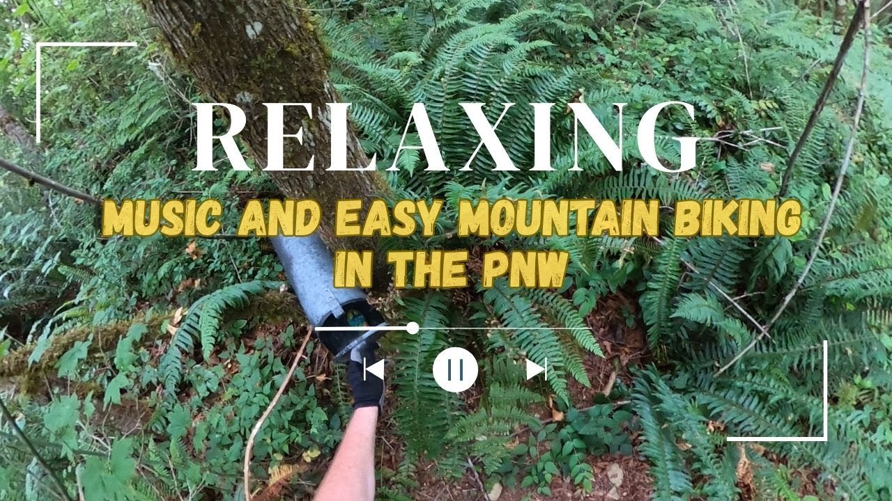 Relaxing Easy Mountain Biking in the Pacific Northwest