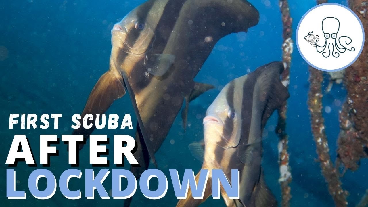 First SCUBA after lockdown in Dumaguete