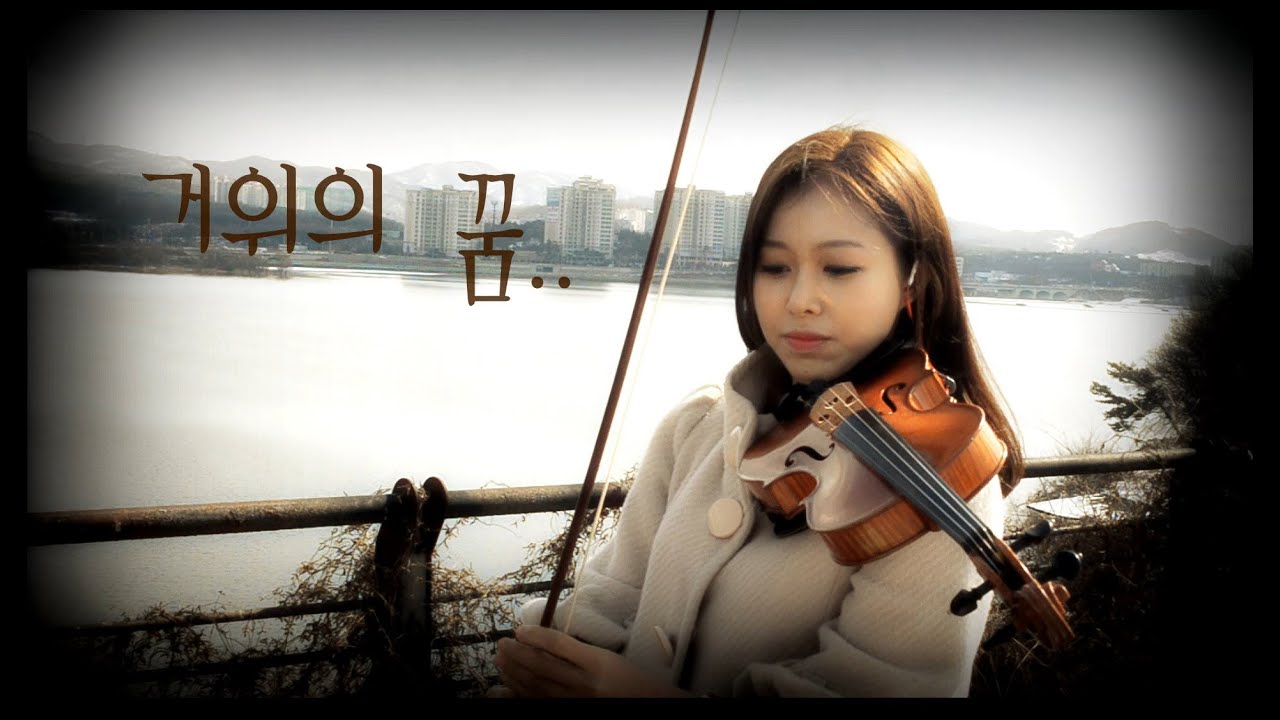 The Carnival - A Goose's Dream violin cover(KPOP)