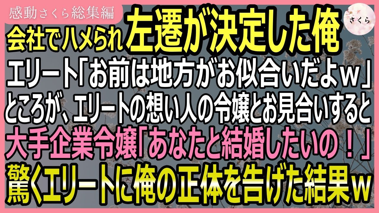 【感動する話・総集編】会社でハメられ左遷された俺。エリート「お前には地方がお似合いｗ」ところがそのエリートの想い人の令嬢とお見合いすると「あなたと結婚する！」【いい話・スカッと・スカッとする話・朗読】