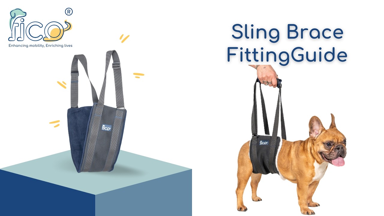 How to Fit the Fico Sling on Your Dog | Step-by-Step Tutorial