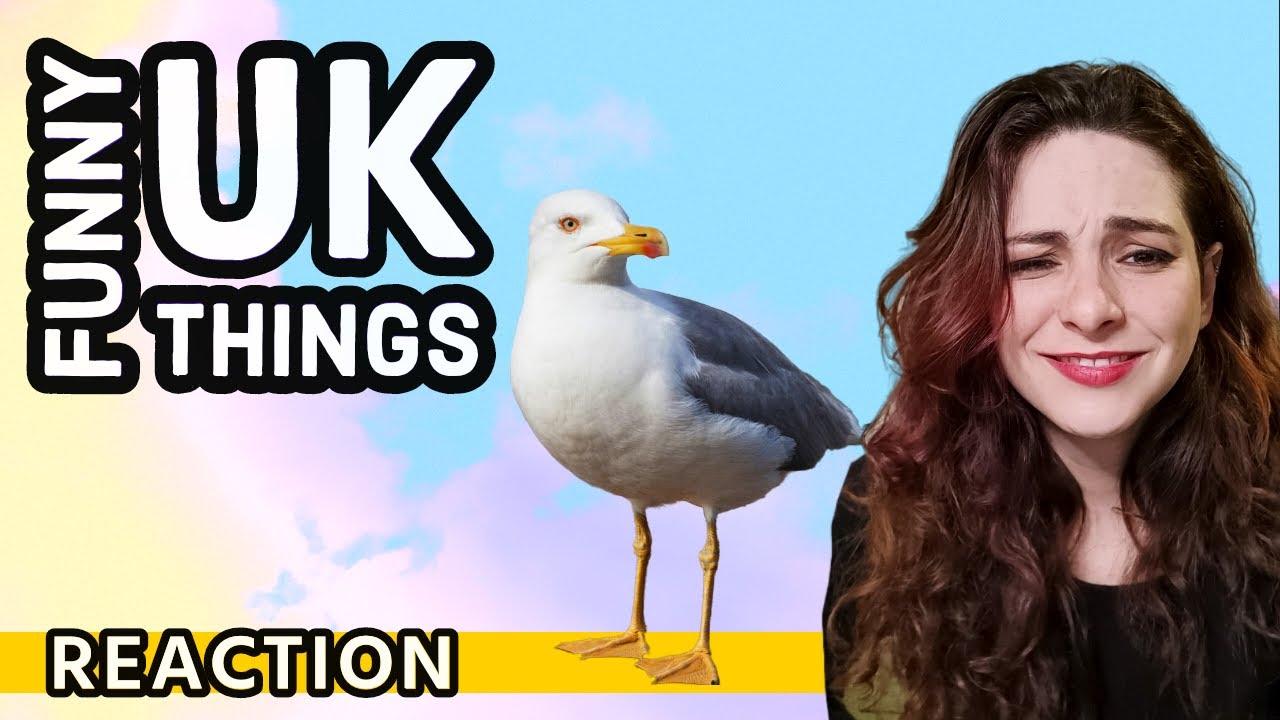 American Reacts - Funny UK Seagulls