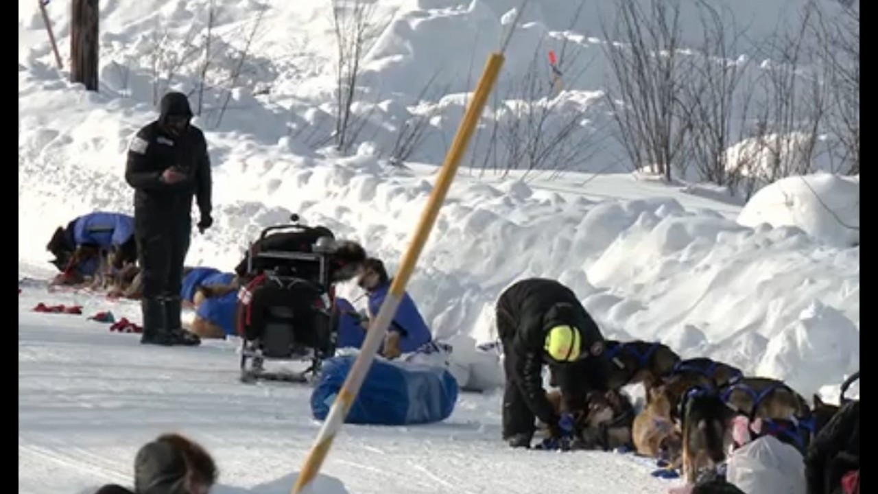 2026 Iditarod - Ruby Checkpoint with Pete Kaiser