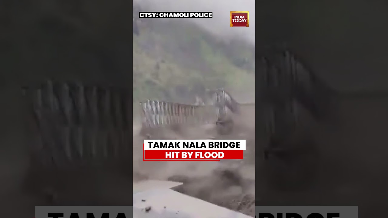 Tamak Nala Bridge Damaged By Floodwaters, Malari Route Affected In Chamoli #uttarakhand #chamoli
