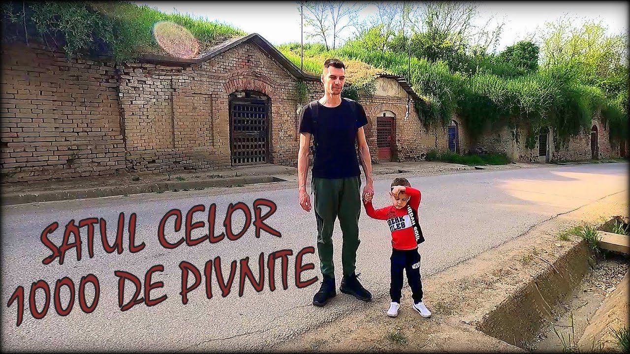 Satul celor 1000 de pivnite si cel mai vechi pod din Bihor