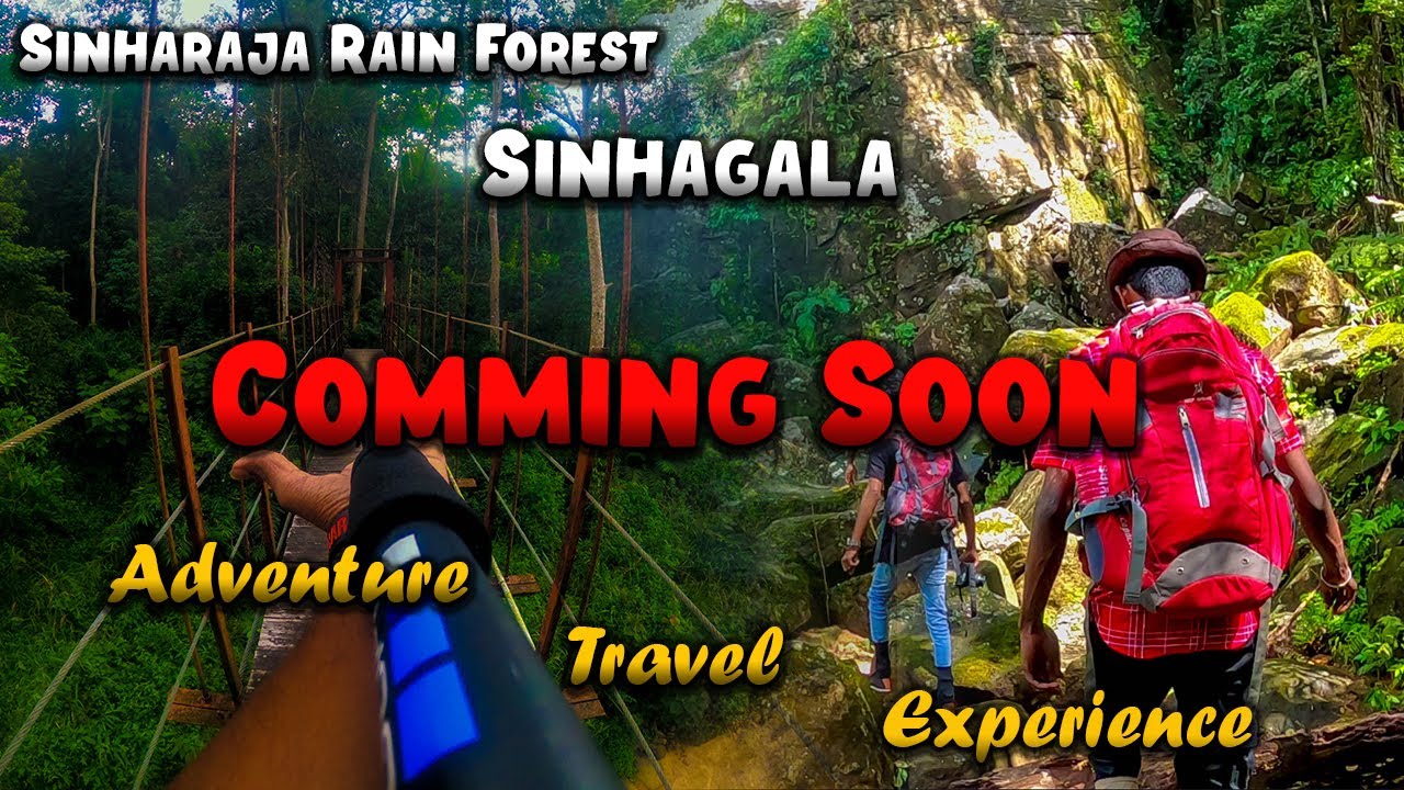 Sinhagala Vlog | Sinharaja Rainforest | Comming Soon