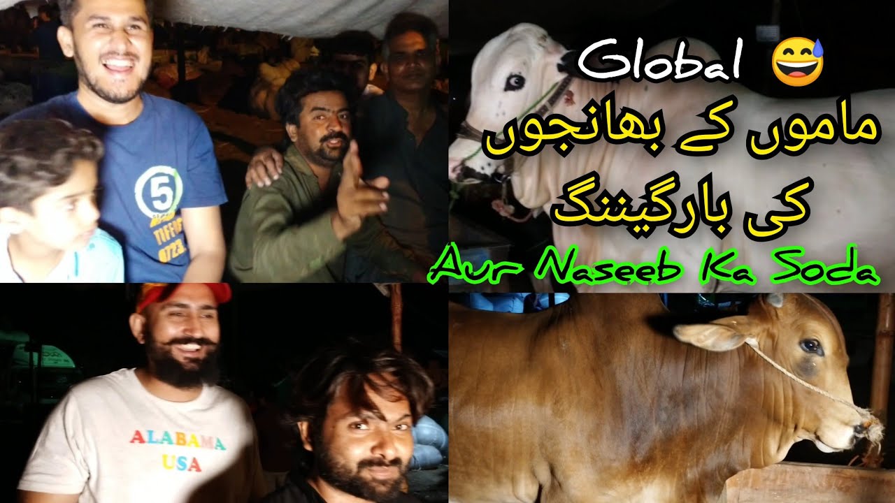 Karachi K Larko Ki Heavy Bargaining Aur 245k Ka Naseeb ka Soda || Sohrab Goth Cow Mandi 2022