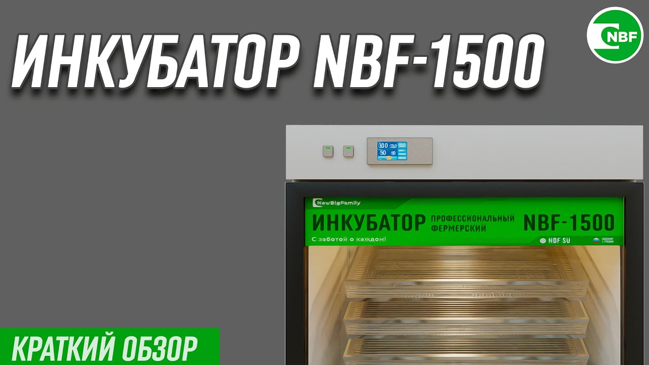 Инкубатор NBF-1500. Краткий обзор.