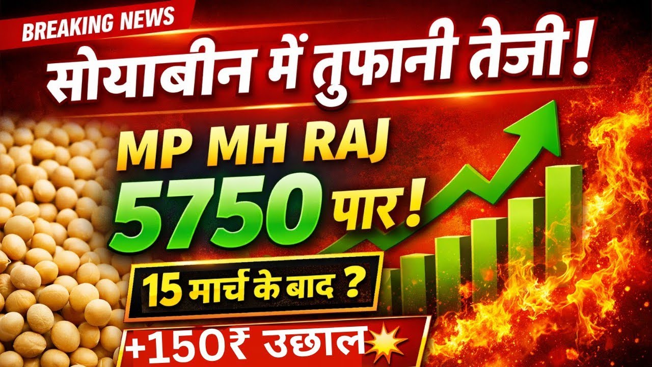 भारतीय सोयाबीन में जोरदार तेजी | MP MH RAJ भाव 5750 पार | ईरान-इजरायल युद्ध का असर ! आगे का अनुमान?