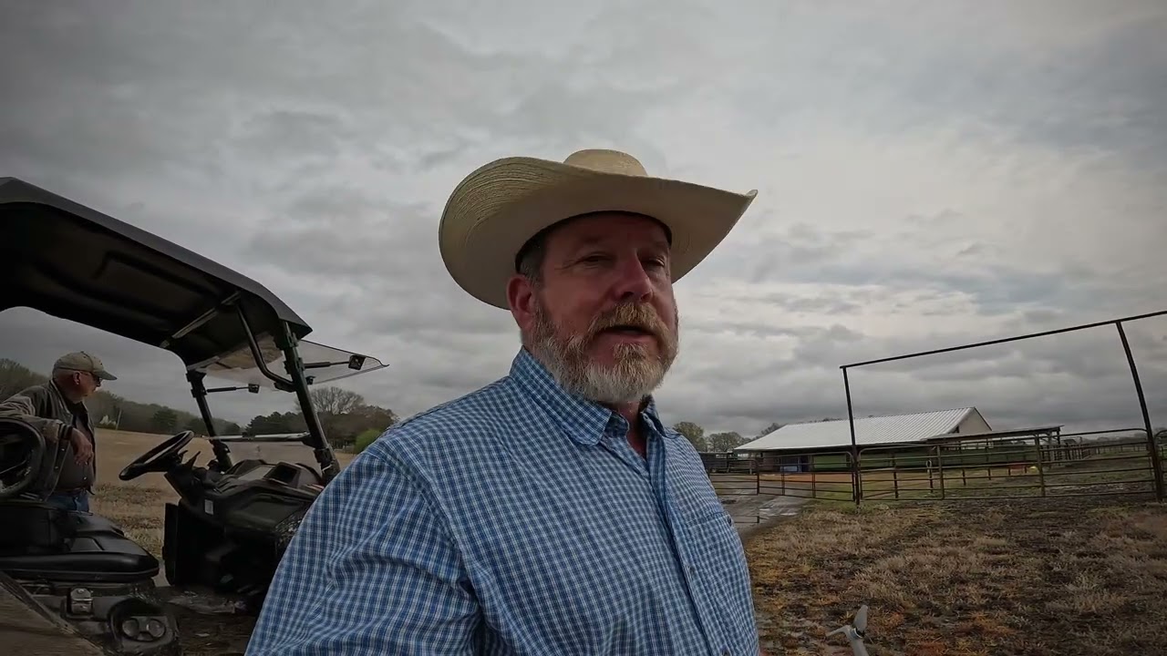 A High Tech Cattle Drive | How to use a Drone to Drive Cattle