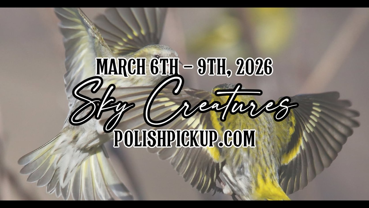 Polish Pickup March 2026 | Sky Creatures | GIVEAWAY