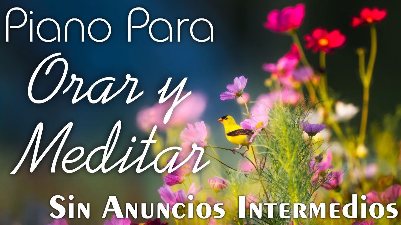 PIANO PARA ORAR & MEDITAR (SIN ANUNCIOS INTERMEDIOS) M&uacute;sica Cristiana Instrumental