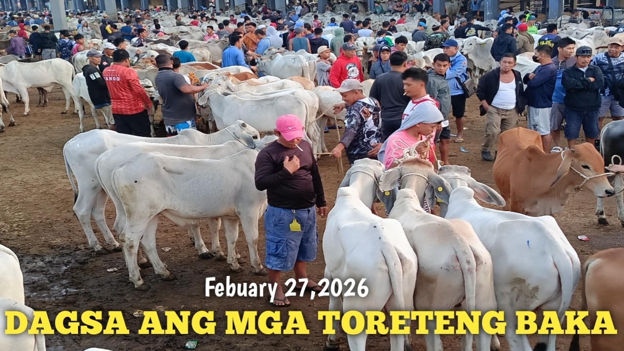Price Update ng mga Toreteng Baka!