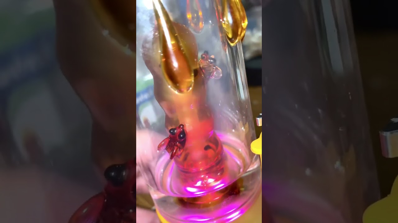 New BOMB 7/10 GLASS HONEY 🍯 edition!! ERIGS TRY IT YOURSELF 🌟🔥 @bombofficialstore #sanantonio
